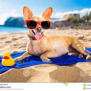 Meet your Posher, Lia